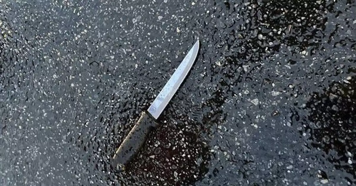 紐約男子持刀殺害4名親戚及刺傷兩名警員 遭警擊斃