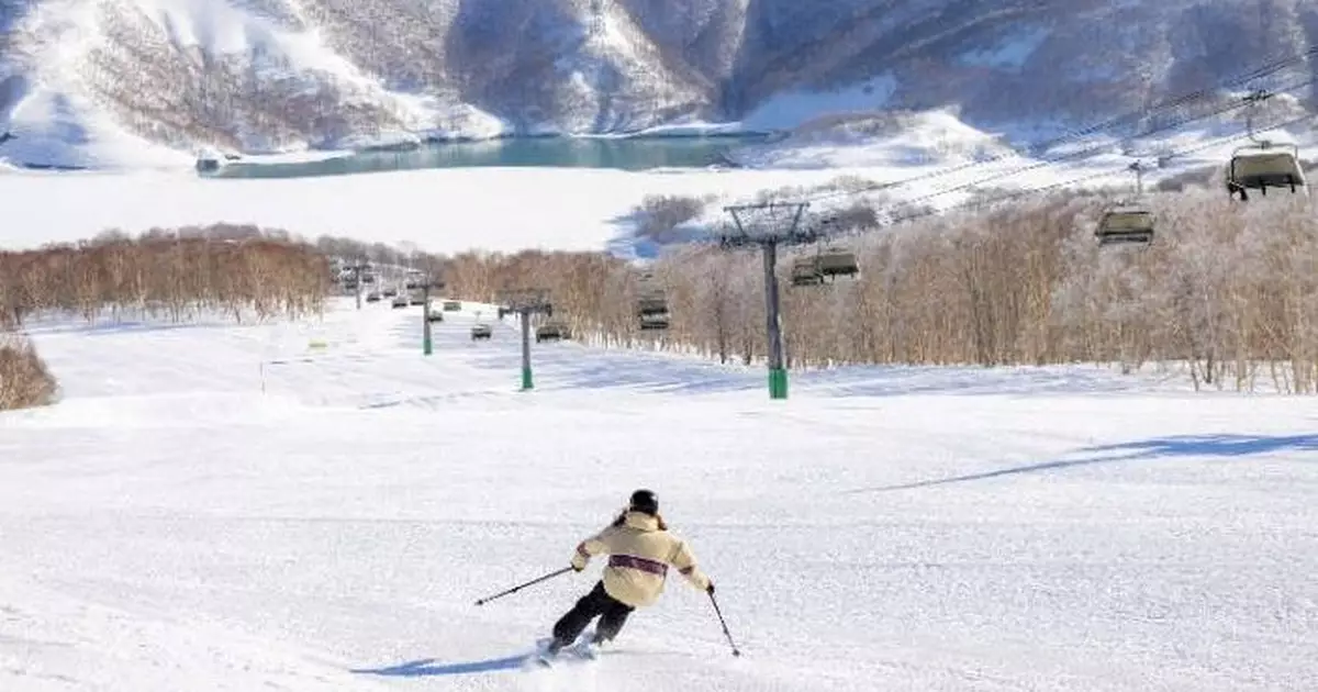 中國女遊客日本新潟滑雪跌倒 遭積雪活埋救出後證實死亡 9442