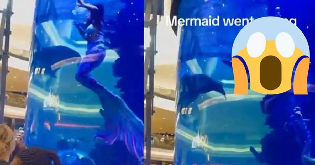 「美人魚」表演中遭珊瑚鈎著險溺水 急「斷尾」驚險求生