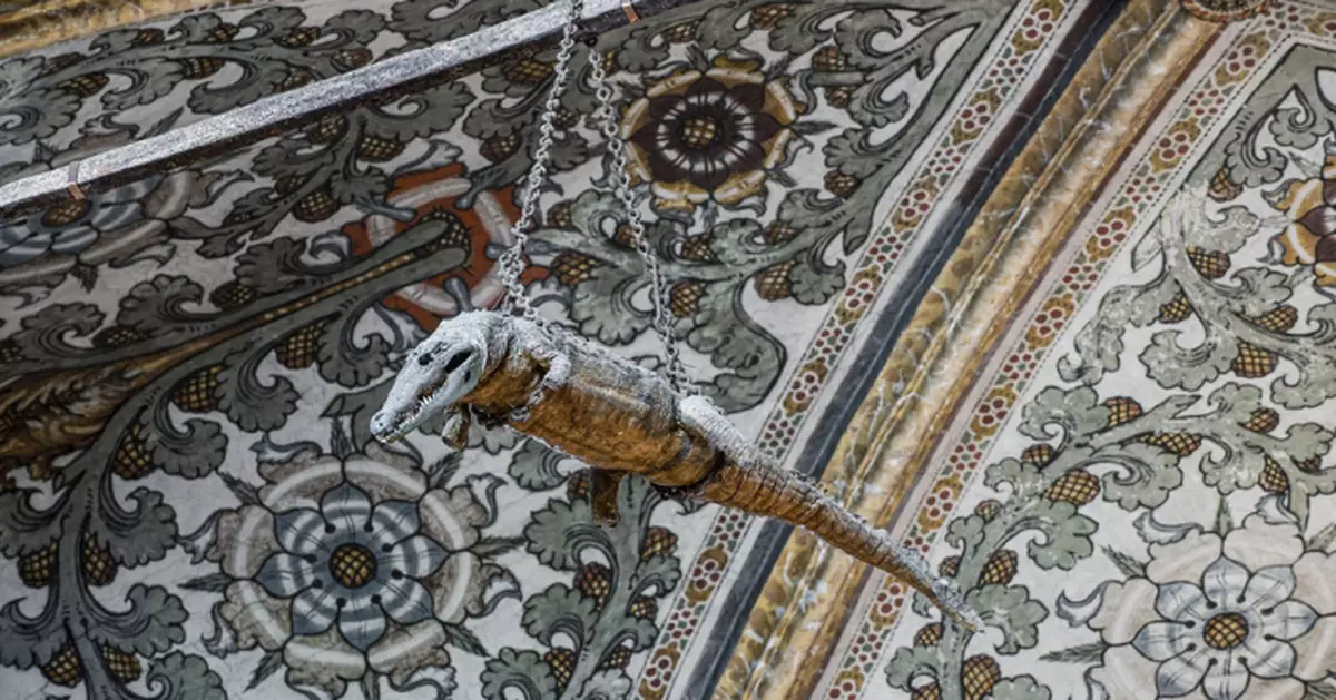 意大利教堂懸掛500歲鱷魚標本 神秘起源竟與宗教有關