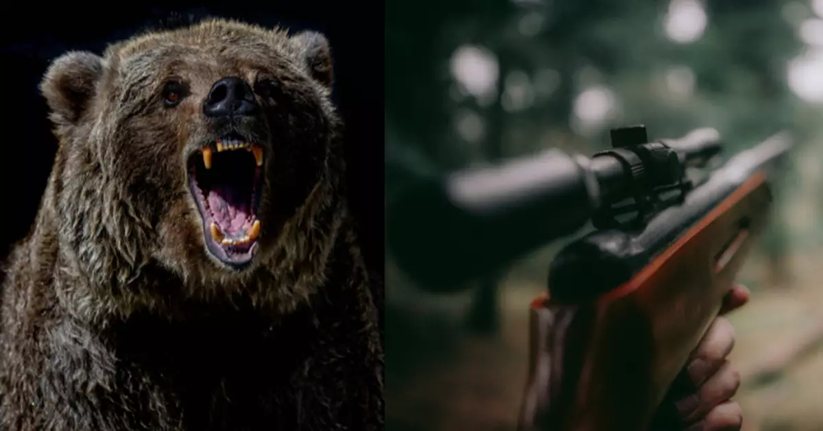 斯洛伐克一周發生兩起野熊襲擊事件 闖進小鎮追殺路人釀1死5傷慘劇
