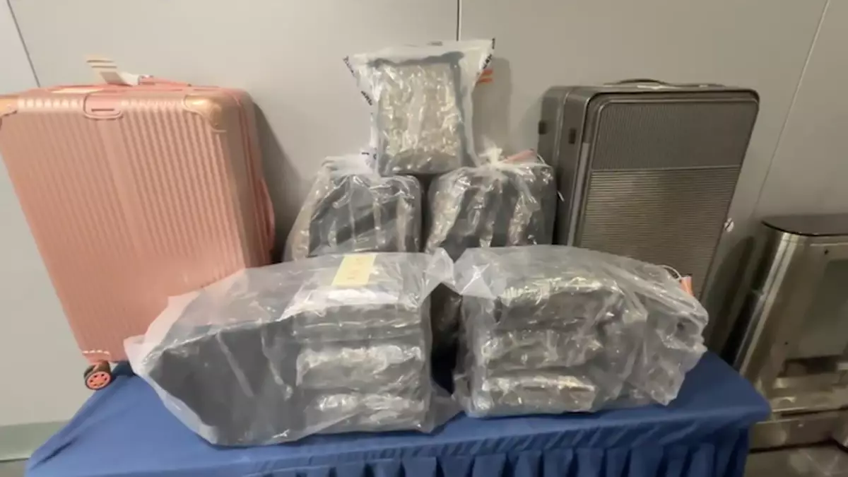 直放行李不掩飾帶貨入境 警機場拘兩「飛天豬」檢24公斤懷疑大麻花