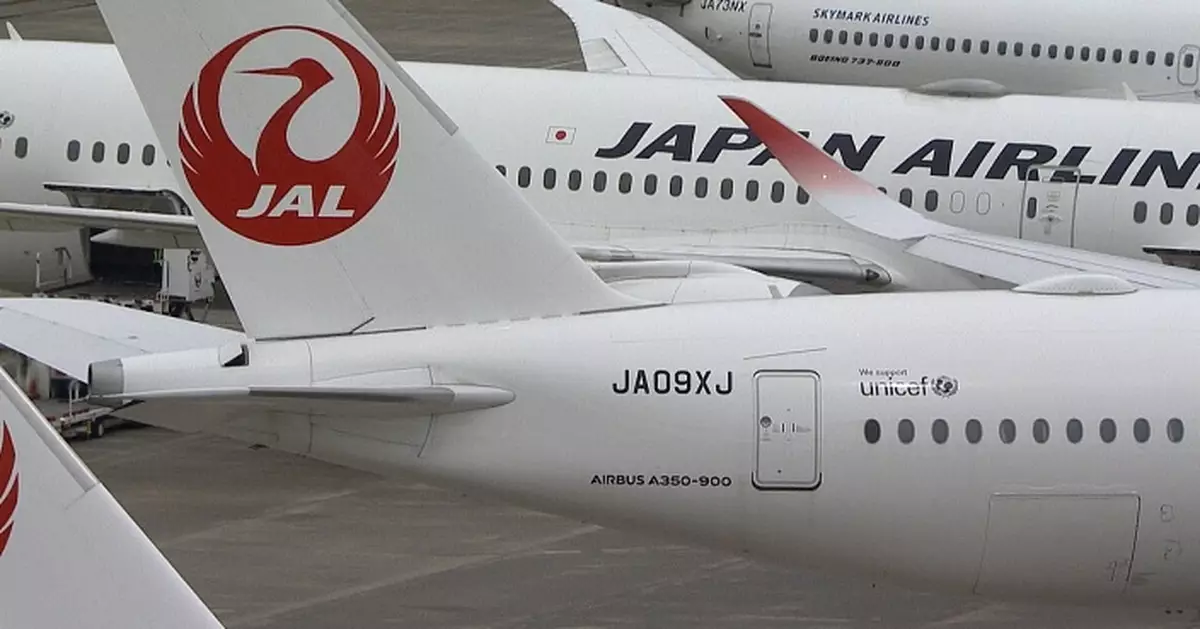 客機起飛前駕駛艙現活物 日航漏夜搜查揭40厘米活蛇潛伏地毯下