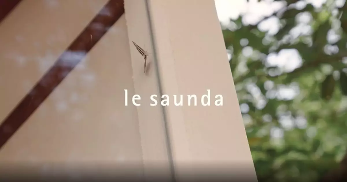 萊爾斯丹虧損擴大逾3倍   派末期息5仙