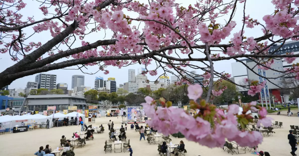 日本少子化危機續加劇 去年生育率及出生人數均跌至新低