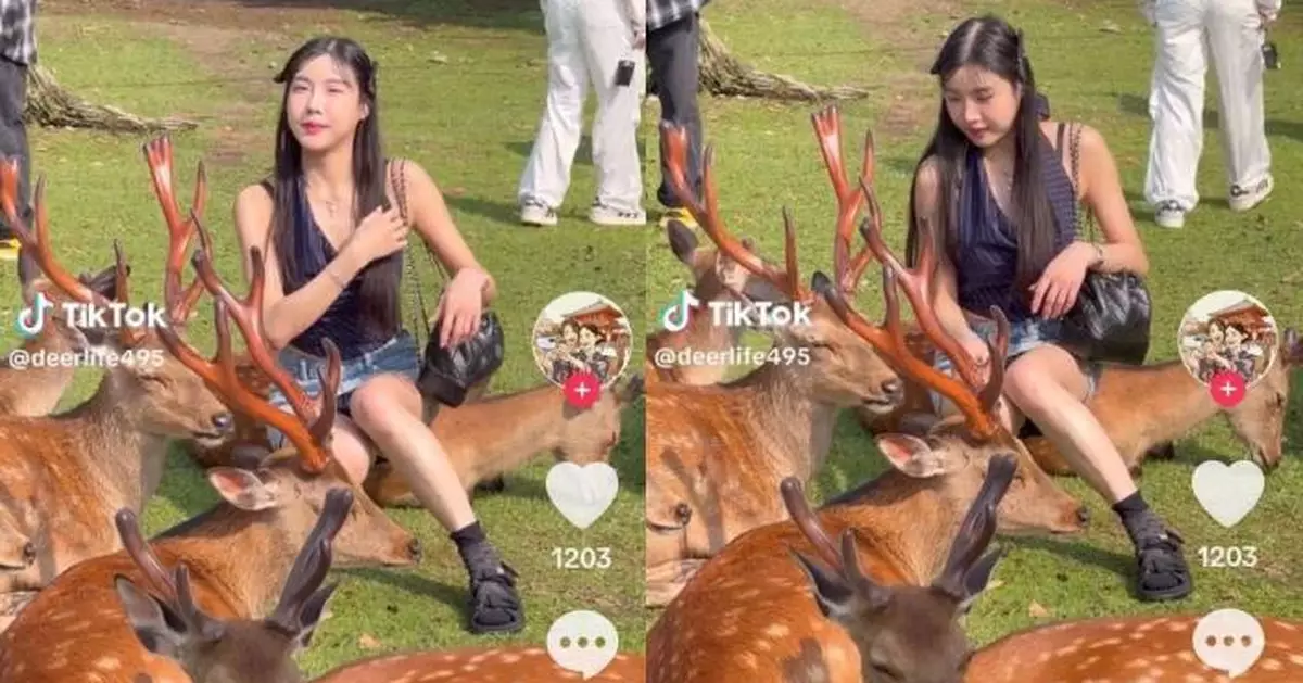 女遊客疑坐「奈良鹿」身上拍照洩春光又惹議 網民分析真相……