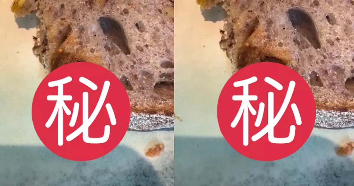 葵芳網紅Cafe全日早餐現「活蟲」麵包上蠕動 食客拍片公審報食環