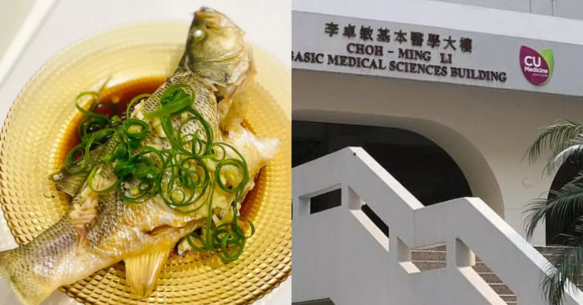 魚過敏都食得魚  中大打造專屬系統為魚過敏患者度身訂造可食用魚清單