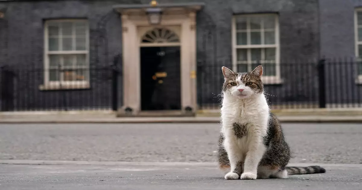 14年歷經5位首相 「英國第一貓」遇對手 或將地位不保