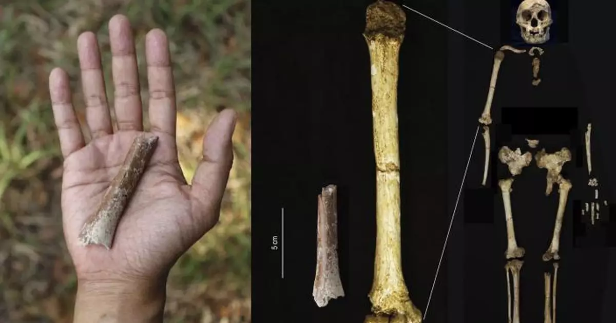 科學家發現矮小古人類化石「成人身高僅110cm」