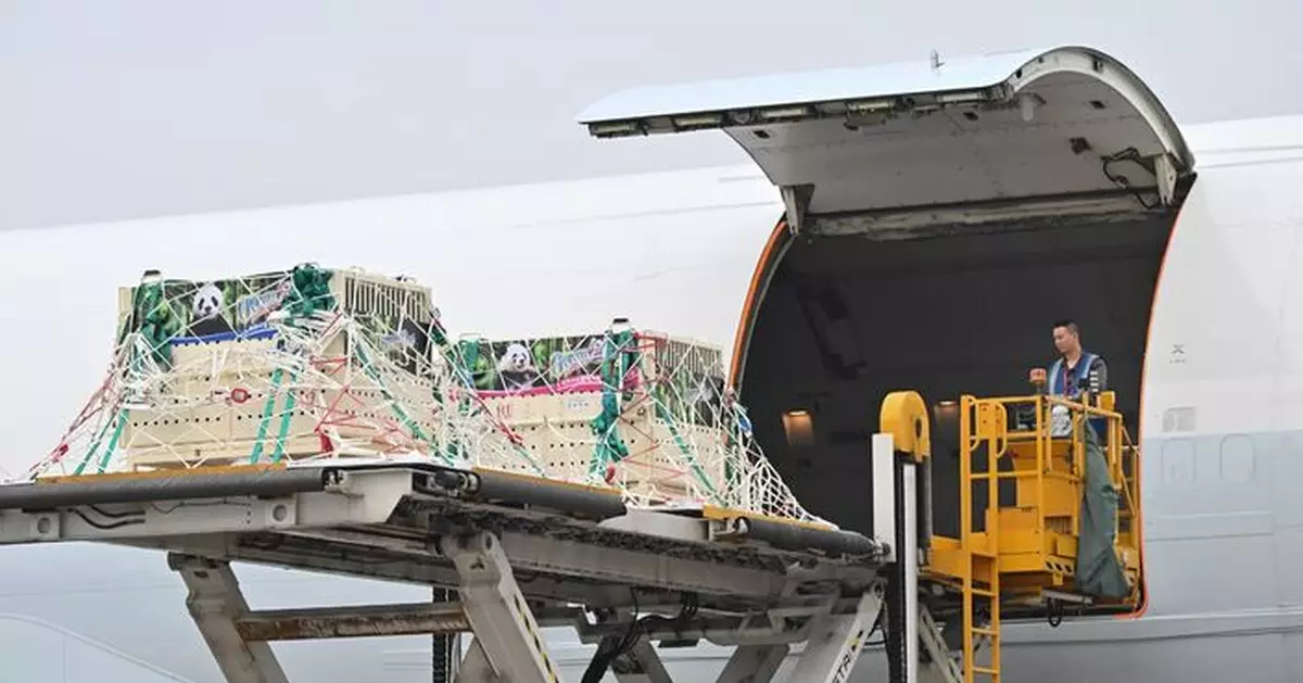 安安可可抵達成都雙流機場 準備乘飛機來港