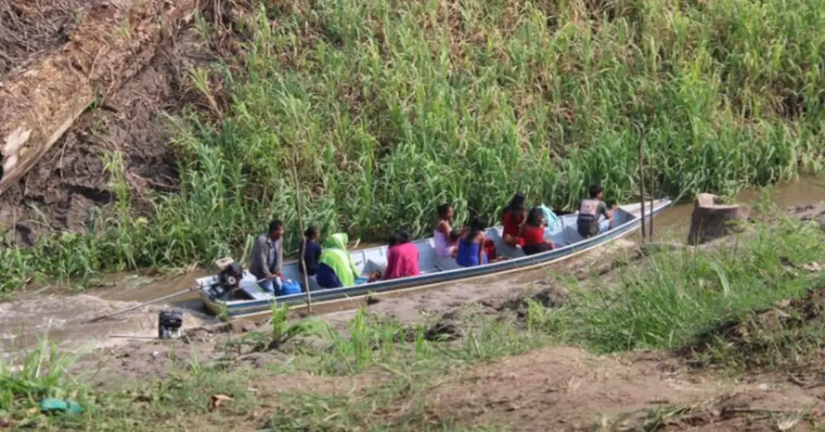 巴西陷歷史性乾旱！亞馬遜流域河床已見乾涸 水位降至歷史低點