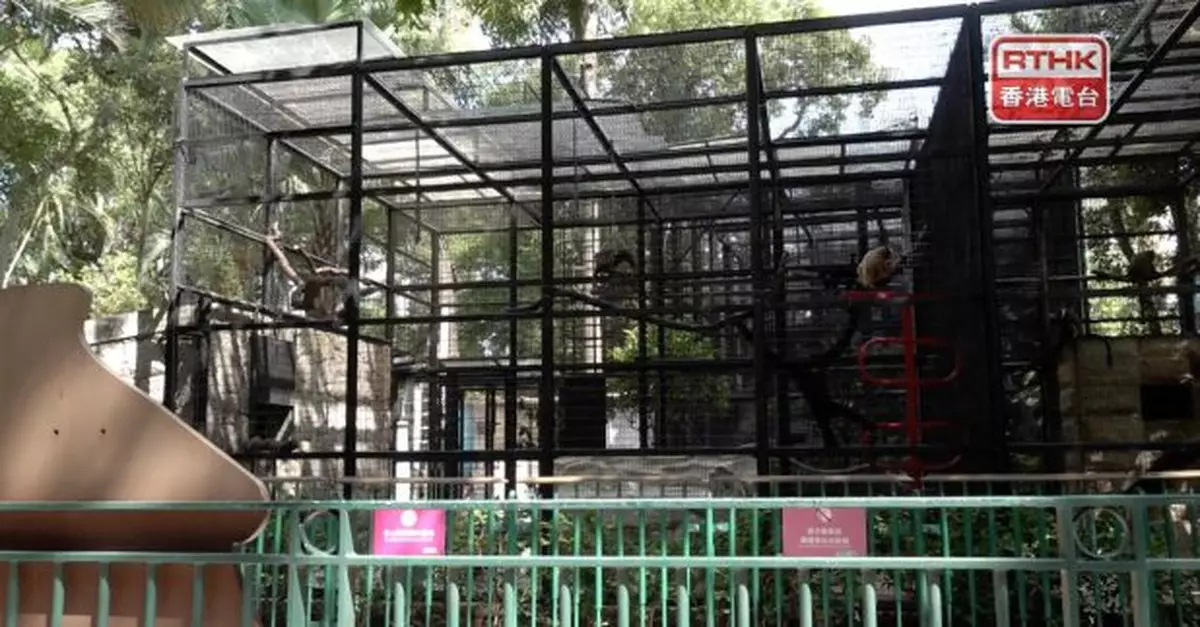 香港動植物公園9隻動物屍體已送往化驗　未有新增動物死亡個案
