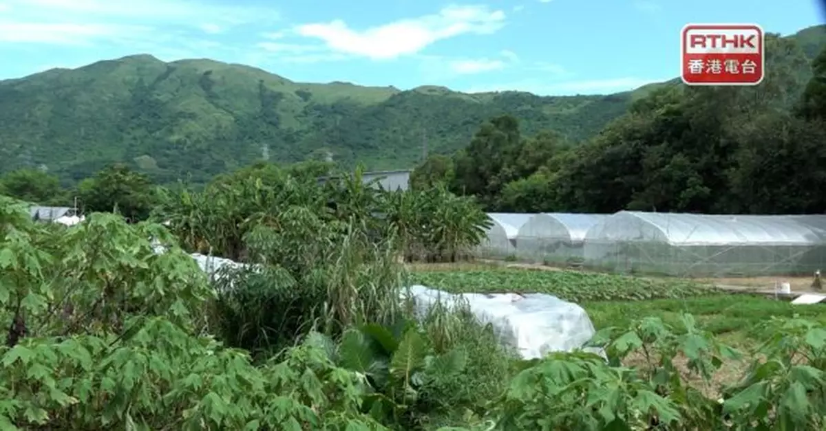 發展局：牛潭尾約六成是私人用地　有信心推進收地