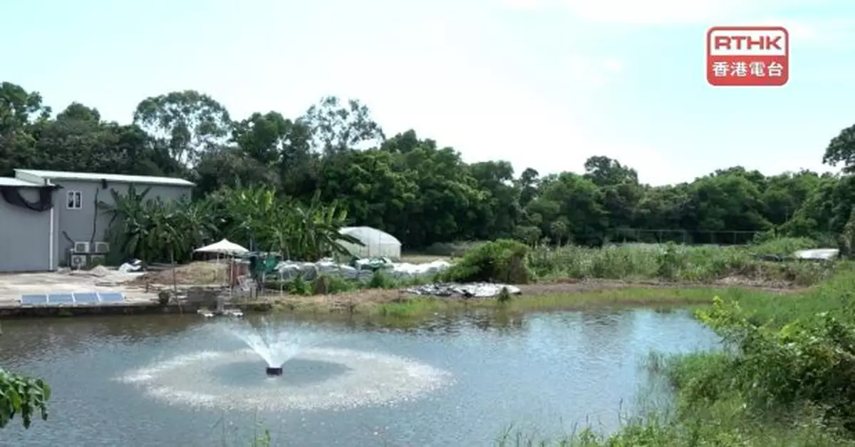 牛潭尾初步規劃佔地逾三分一發展為大學城　有智庫稱發展規模合理