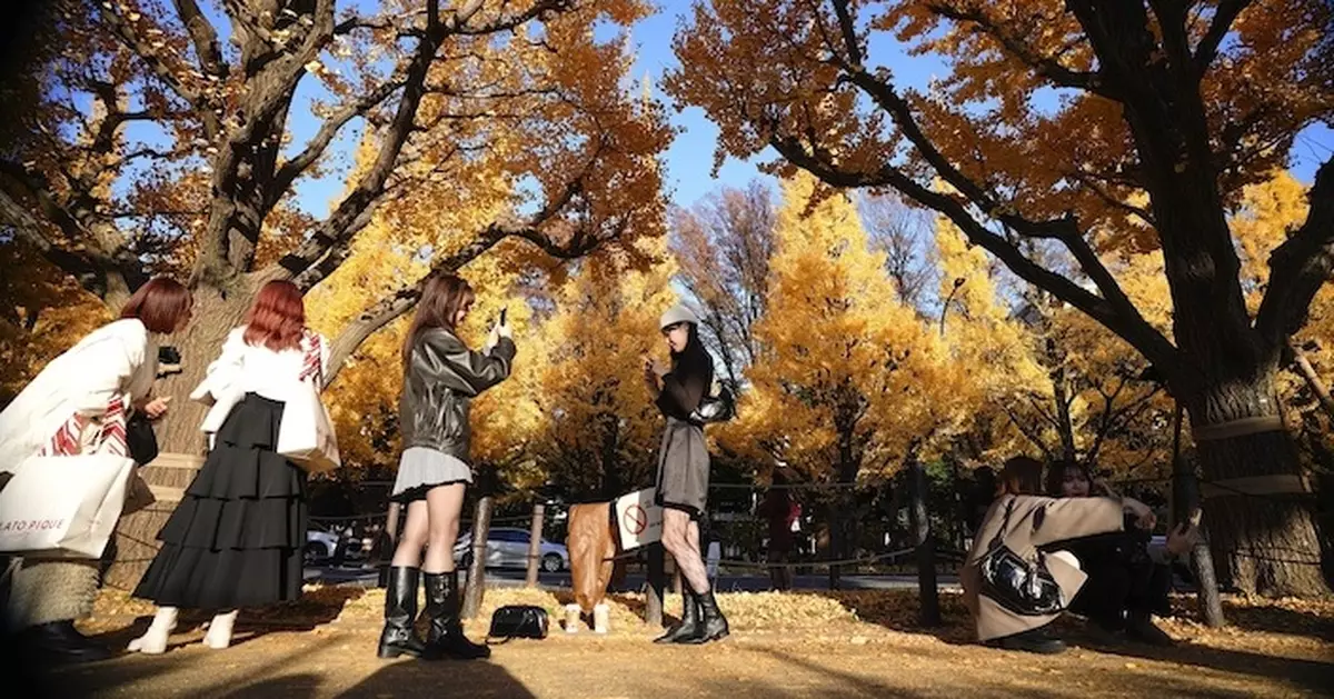 日本126年來最熱秋季 欣賞紅葉季節延後