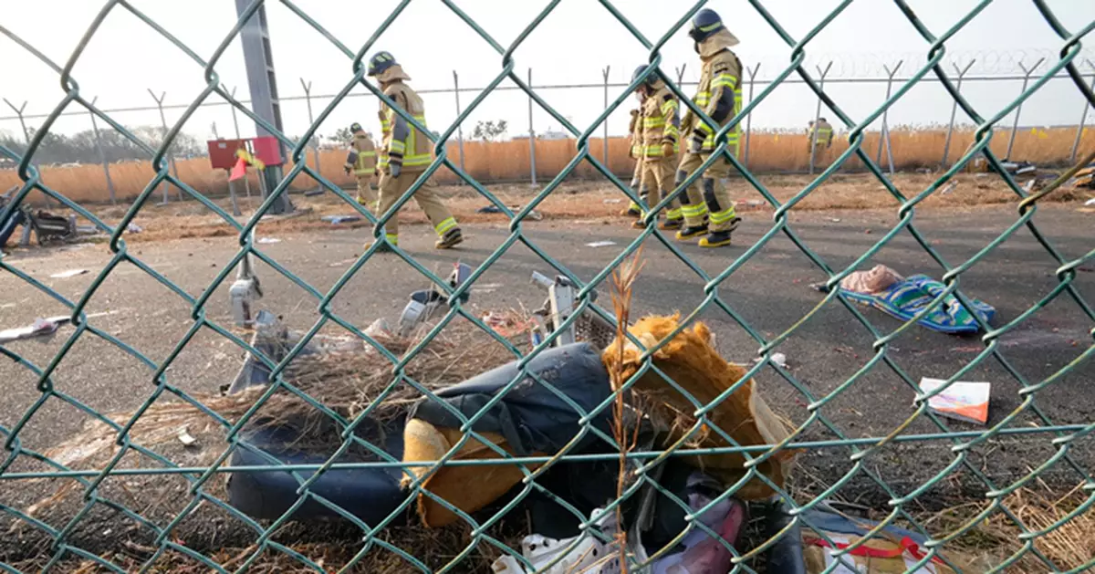 內地專家：飛機將降落或剛起飛屬低空低速階段 受雀鳥撞擊較危險