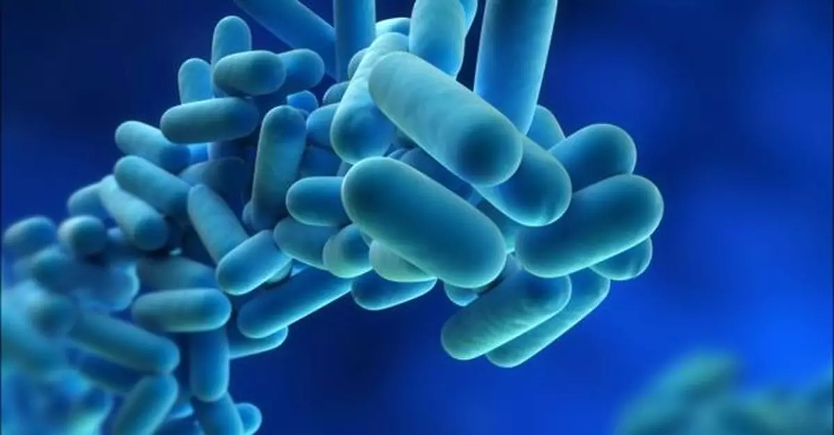 九龍區4幢樓宇淡水冷卻塔水樣本 驗出退伍軍人桿菌超標