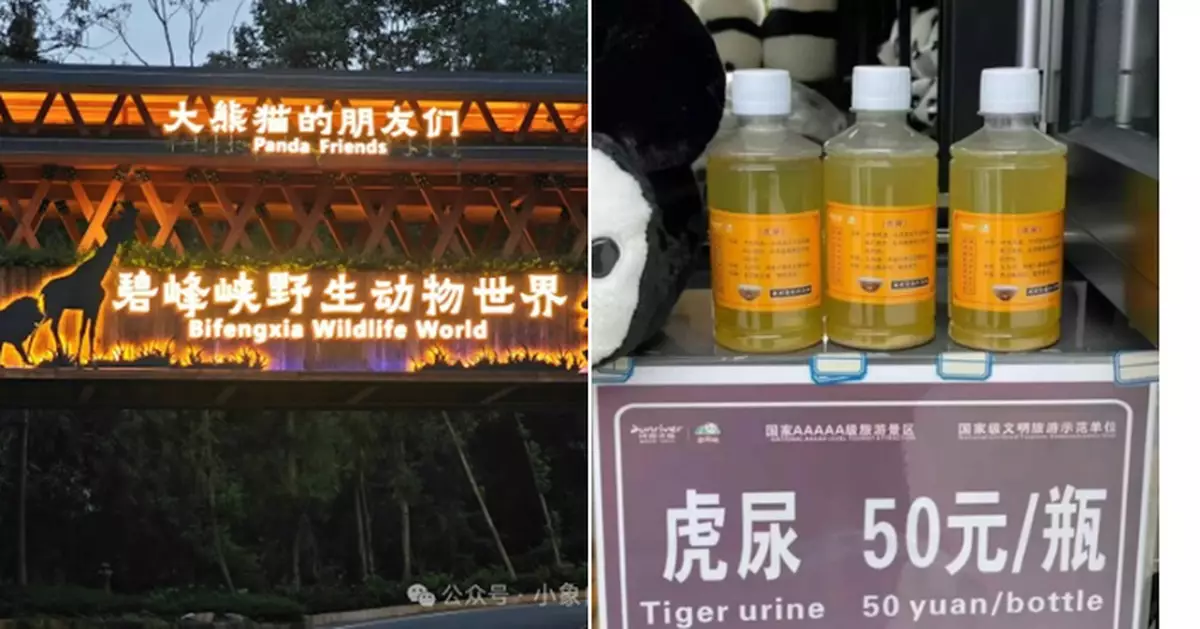 每樽售54蚊 四川動物園售虎尿宣稱對類風濕跌打損傷有療效 專家質疑合理性