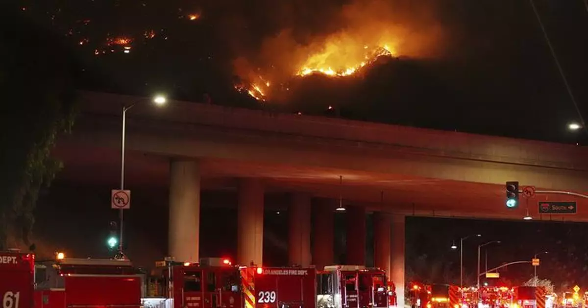 美國29歲男子涉縱火致1月初洛杉磯大型山火被捕