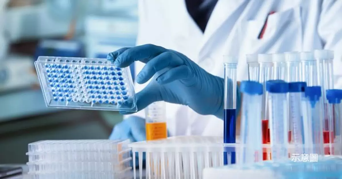 劇毒毛毛蟲或成研藥靈感？ 澳學者：可開發更強效的止痛、麻醉劑