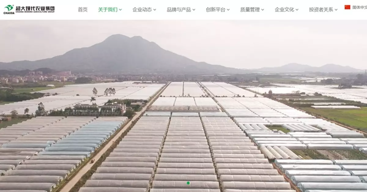 超大現代預告半年虧損擴大近43%