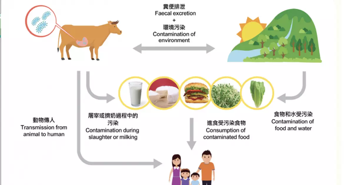 「產志賀毒素大腸桿菌」最常見感染源來自牛肉  少數人染病併發症可致死