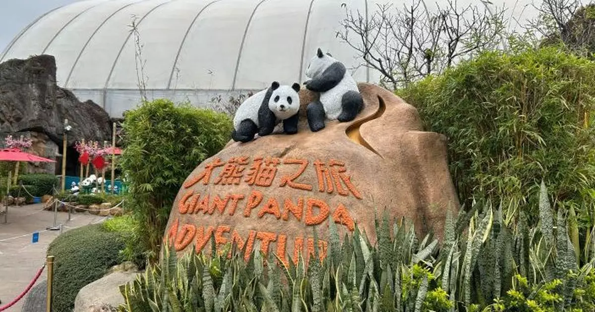 梁熙：倡海洋公園推大熊貓館門票　與園區其他設施門票分開吸引更多人入場