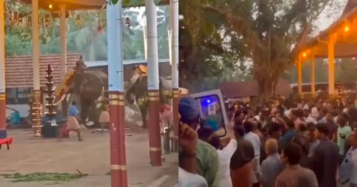 有片！遭煙火聲嚇親 印度2大象慶典現場失控暴衝狂撞釀3死30傷