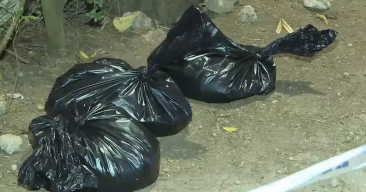 上水3狗疑遭毒殺死亡 警列殘酷對待動物案暫未有人被捕