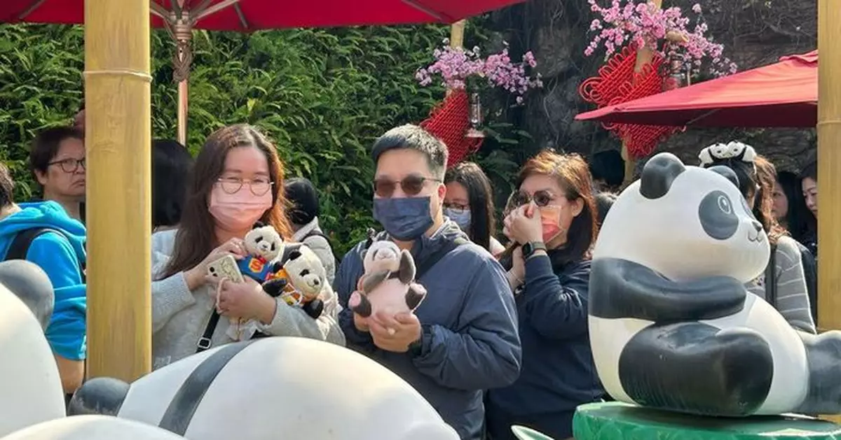 龐建貽指下半年或明年考慮延長公眾與大熊貓龍鳯胎見面時間