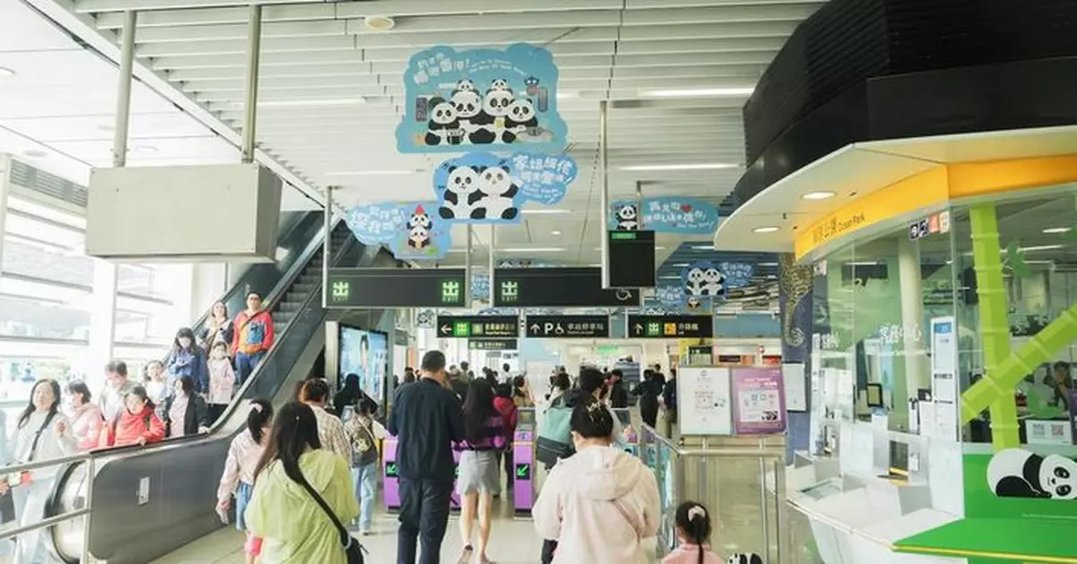 港鐵多個車站展示大熊貓家姐細佬裝飾 南港島綫現主題列車