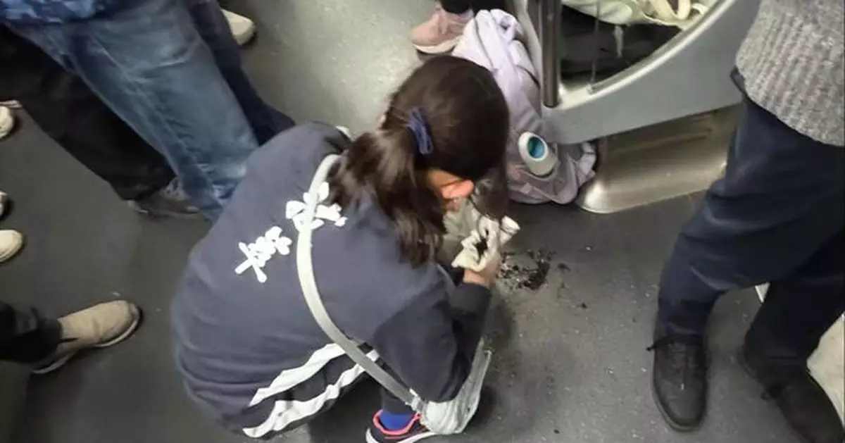 拔萃女生港鐵車廂倒瀉盆栽 即拿紙巾善後獲網民大讚：果然係拔萃！