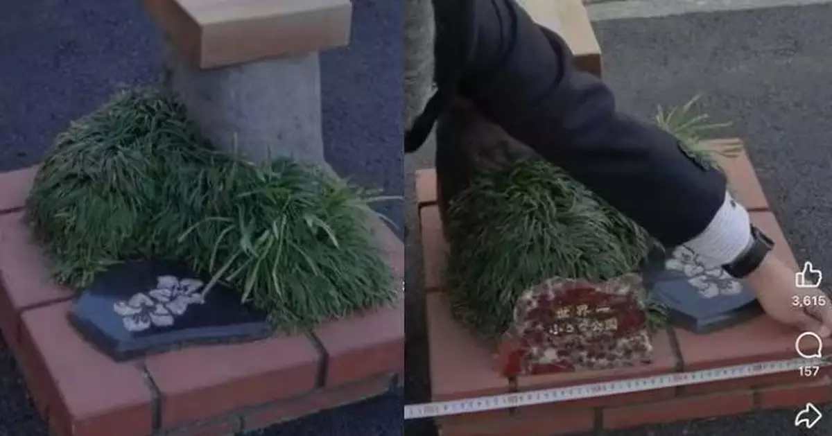 0.24平方米細過花圃可坐1人！日長泉町公園獲認證「世界最小公園」