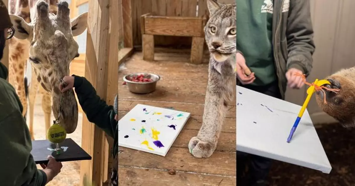 企鵝、長頸鹿、樹懶齊作畫 紐約動物園開另類拍賣會售「動物畫家作品」