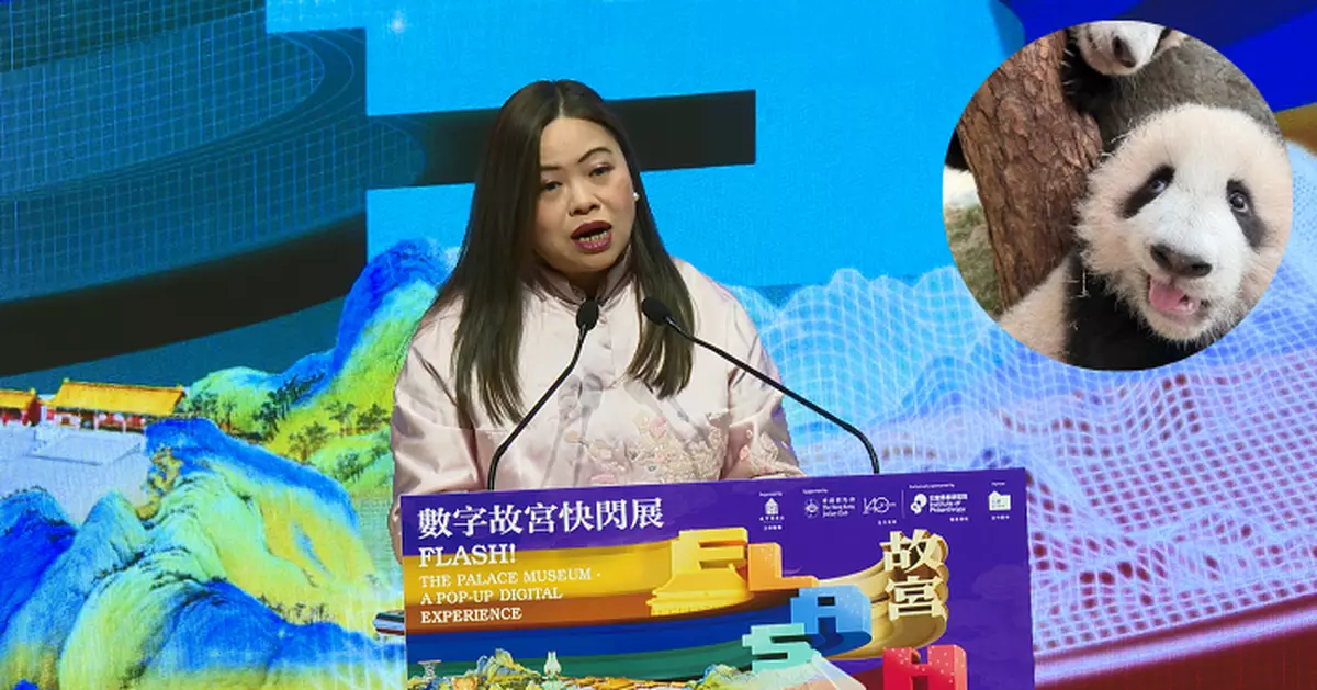 羅淑佩：六隻大熊貓讓「熊貓經濟」水到渠成 鼓勵各界發揮創意共同吸引旅客訪港