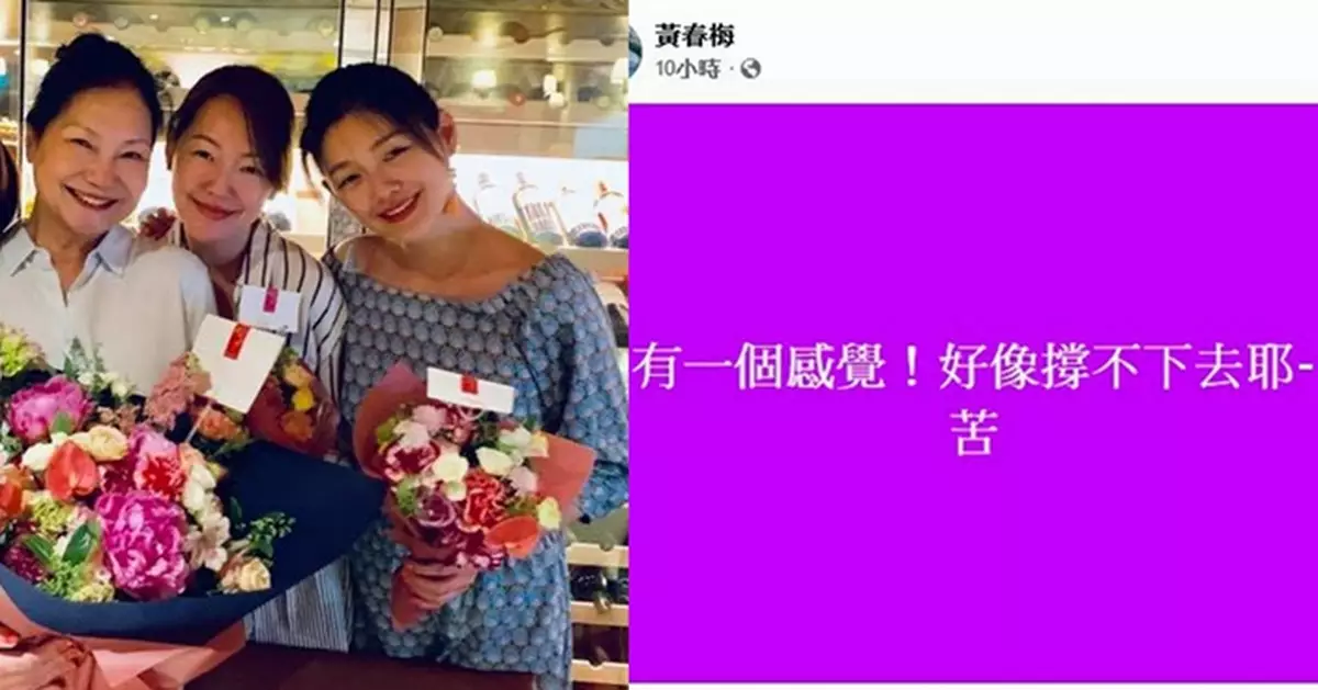 S媽深夜崩潰呼喚「撐不下去」  引網憂紛紛留言加油打氣