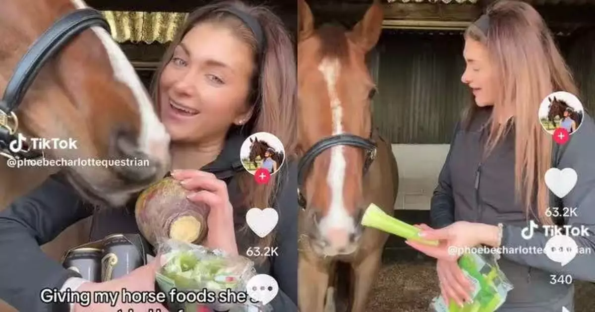 馬隻當「評審」揀最愛吃食物 西瓜壓倒性獲勝 1蔬菜秒被淘汰