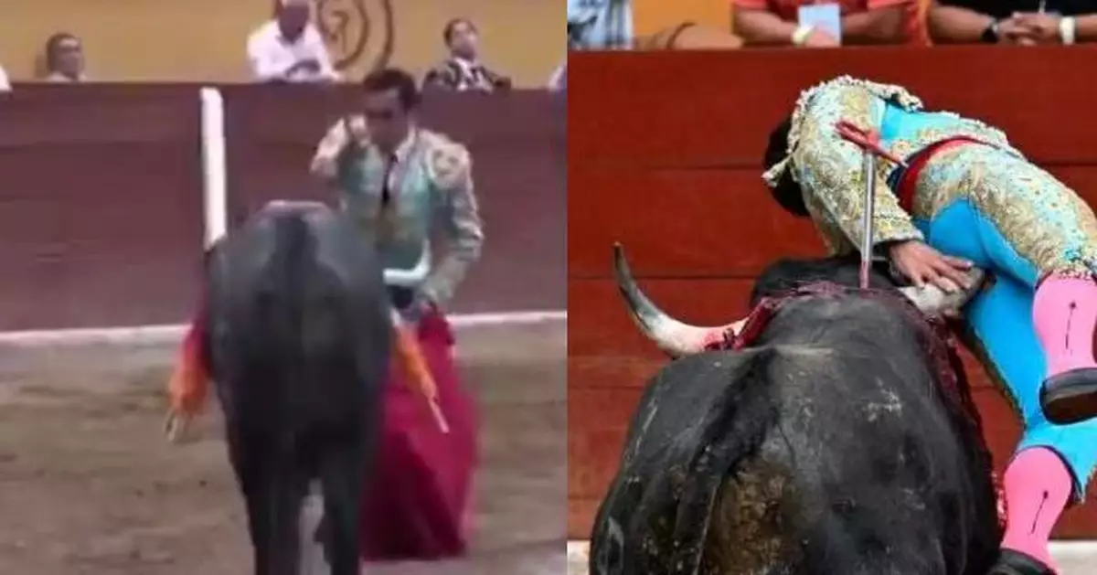 表演中遭牛角戳肛門 墨西哥鬥牛士被頂空中逾10秒 驚險畫面曝光