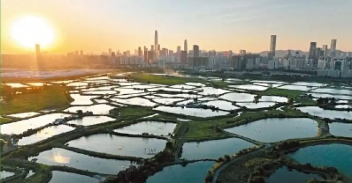 黎堅明：冀三寶樹濕地公園做到保育與旅遊平衡