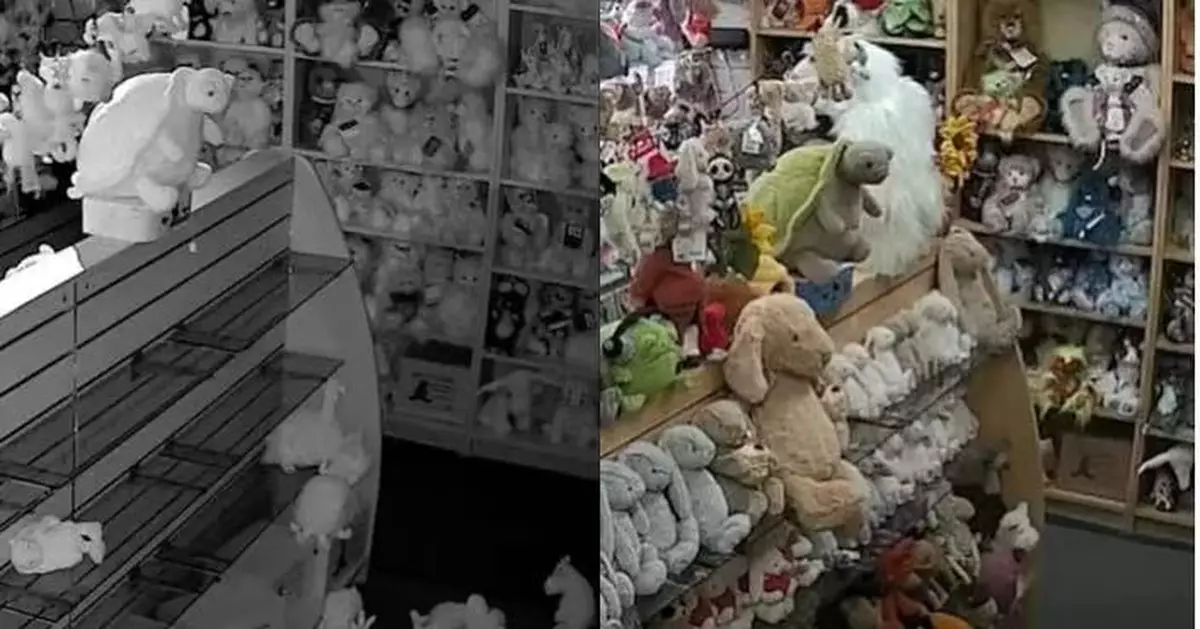 英玩具店逾200隻Jellycat公仔遭竊 「Timmy烏龜」疑遭嫌棄被獨留