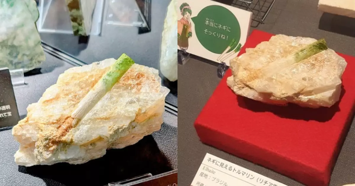 日展覽展示「奇特礦石」內鑲「綠白色結晶」撞樣大蔥令參觀者嘖嘖稱奇