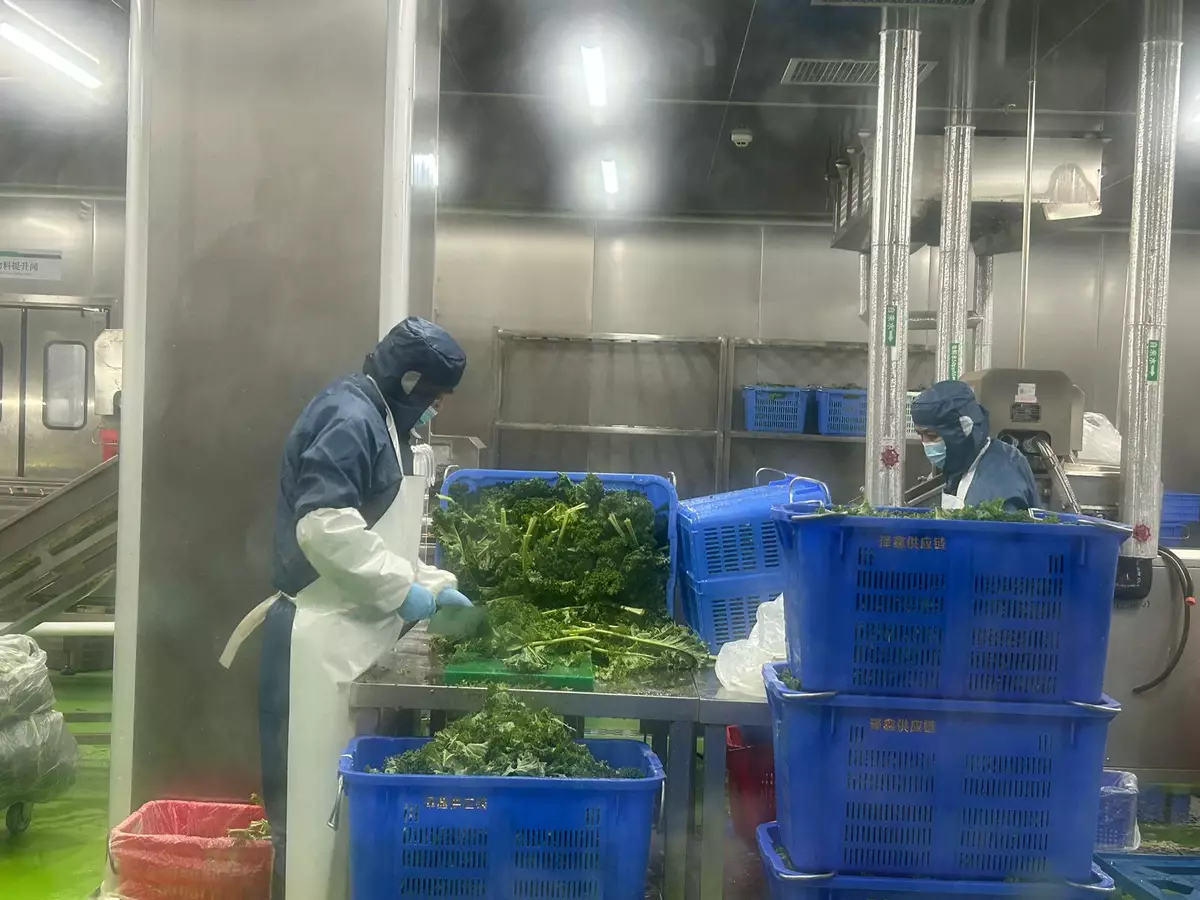 優予食品沙律製造工場。巴士的報記者攝