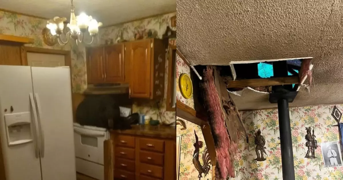 黑熊突從屋企天花板墜落坐爐灶上發呆 美屋主嚇親急求助