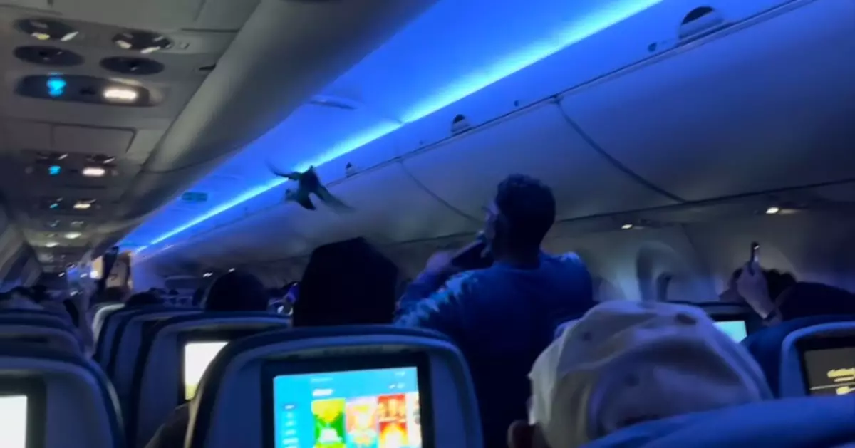 起飛前2鴿接連闖入機艙 達美航空客機兩度中止起飛延誤近1小時