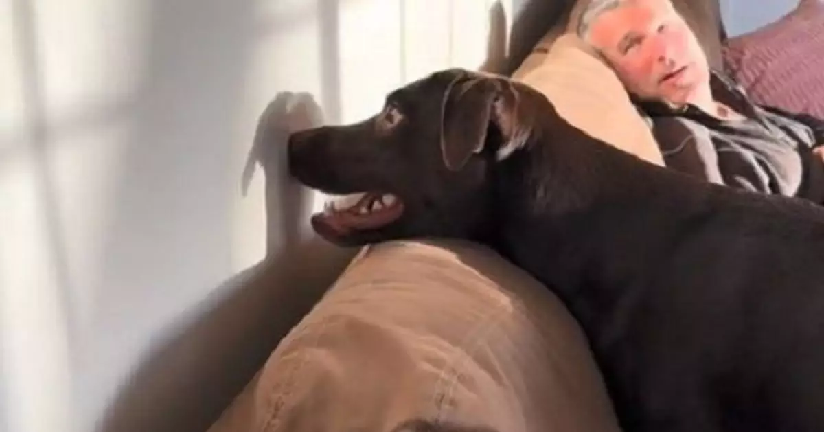 誤將牆上影子當「新朋友」 黑狗熱邀玩耍遭「無視」露迷惘表情