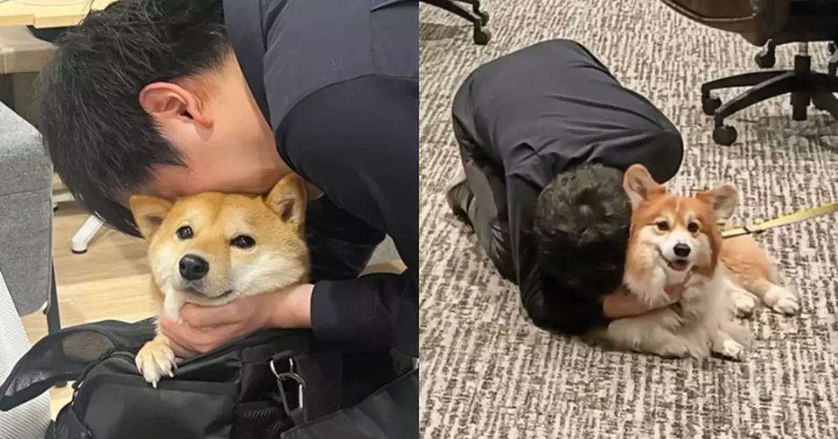允許員工攜寵返工 日寵物食品公司社長藉機吸狗引網笑：另類職騷！