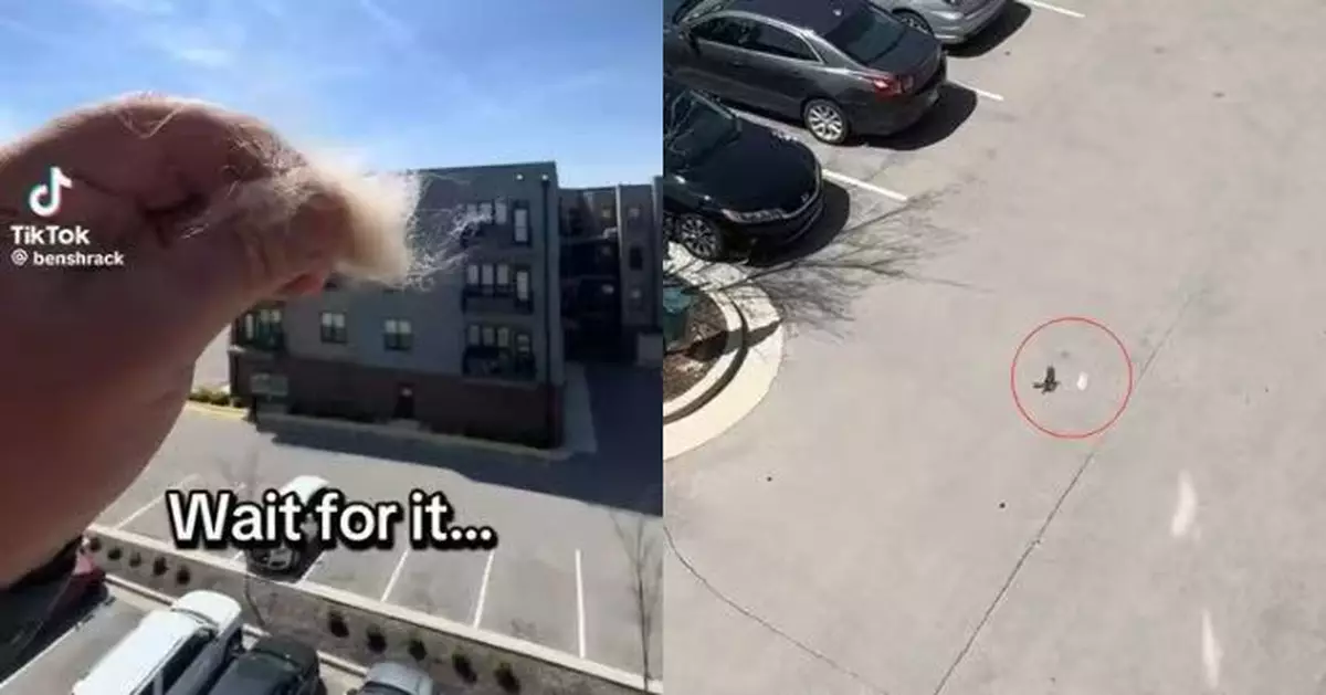 美漢長期露台空投「狗毛」惹公憤  真相曝光劇情反轉網友大讚：感謝無聲的溫柔回饋