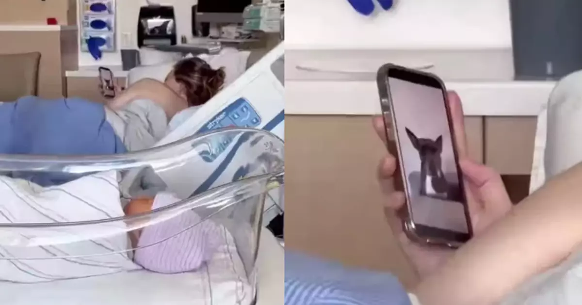 剛誕兒子 新手媽背對仔仔狂睇寵物犬照片引網共鳴：牠才是第一個孩子！