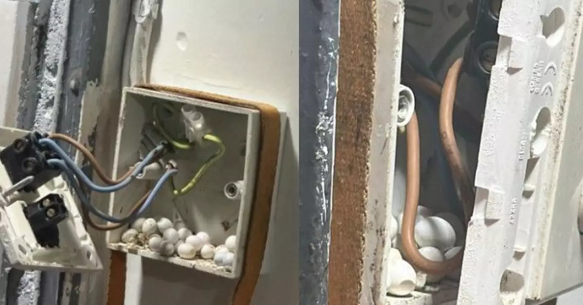 港女驚見電掣內藏逾20隻不明白蛋 網民：清潔工嚟，留返粒畀我！
